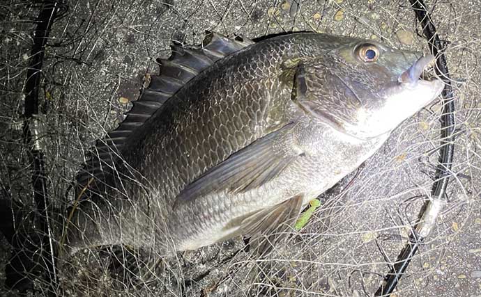 「静岡県の海釣りでは引っ掛け釣り禁止！」該当する釣法・罰則・エリアを徹底解説