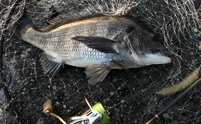 釣りにおけるベストな【ハリのかかりどころ】はどこ？　基本はカンヌキもアジは別