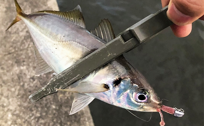 釣りにおけるベストな【ハリのかかりどころ】はどこ？　基本はカンヌキもアジは別