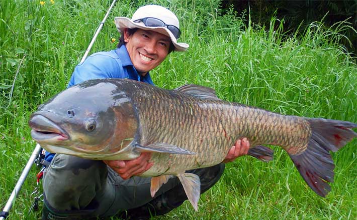 夕マヅメに123cmソウギョ堂々浮上【埼玉・元荒川】日没間際に短時間のやり取りで制す | TSURINEWS - Part 2