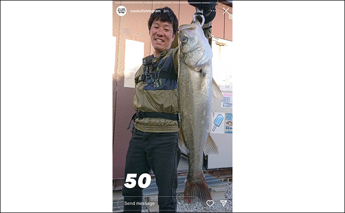【大阪・南港魚つり園】ルアーシーバス釣行で50cm本命　「ビッグバッカー」にヒット