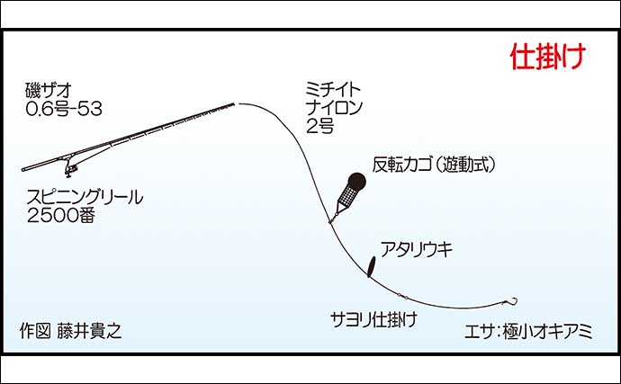 「きららビーチ」でのサヨリ釣りで本命11尾【山口】遊動カゴ仕掛けで挑戦