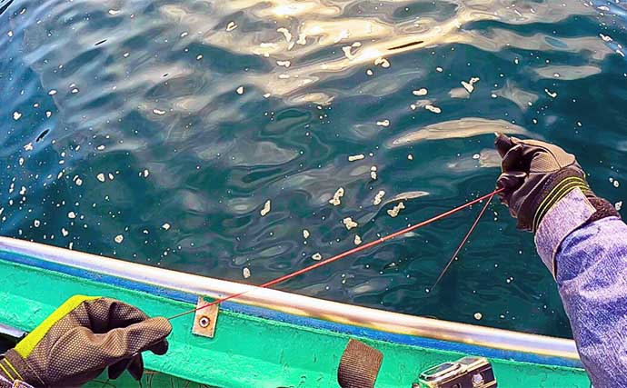 東京湾伝統釣法の「手釣り（テンヤ）」でマダコをゲット【千葉・みや川丸】