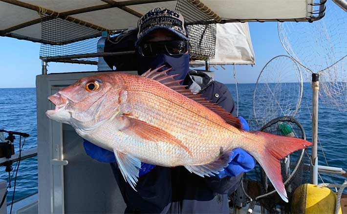 上越沖ディープタイラバ釣行で本命マダイ連発【新潟・子丸】水深100m