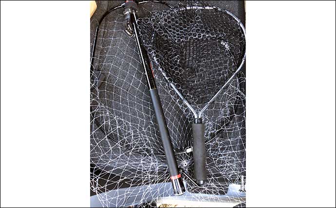 海釣り用タモ網（ネット）の2大素材【ラバーとナイロンどちらが使いやすい？】