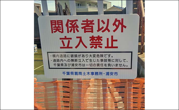 旧江戸川でのテナガエビ釣りで本命4尾【千葉】ハゼのアタリの方が多いか