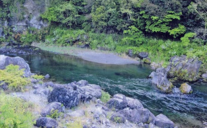 鮎（アユ）友釣りオススメ河川ガイド2024：奥多摩川　シーズン終盤には尺級も狙える