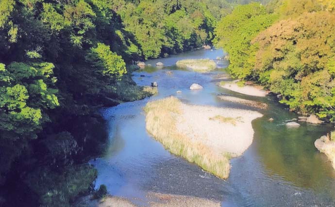 鮎（アユ）友釣りオススメ河川ガイド2024：奥多摩川　シーズン終盤には尺級も狙える