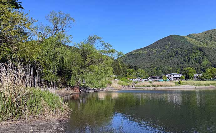 今週のヘラブナ推薦釣り場2024【山梨・河口湖】