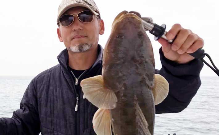 船ルアーマゴチ釣りで65cm頭にトップ11尾【山口・第八新西丸】ボトム