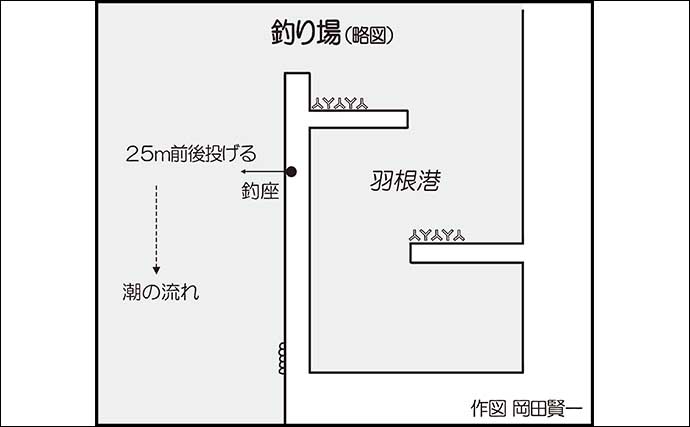 羽根港でのサヨリ釣りで31cm頭に本命20尾【大分】パン粉入りのまきエサが奏功？