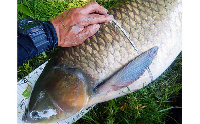 雨天後の河川で101cmソウギョをキャッチ【埼玉・元荒川】身を隠してヒットを待つ