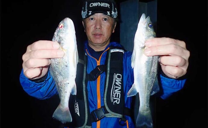 夜の赤瀬漁港でのウキ釣りでセイゴ好捕【熊本】アラカブとグチも好土産に