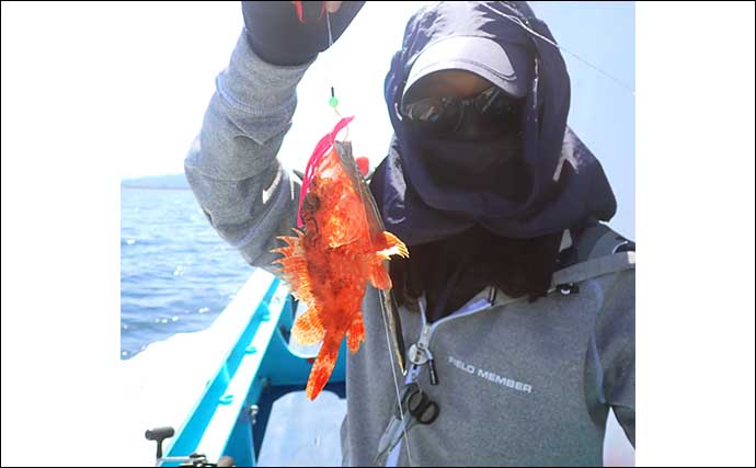 沼津沖オニカサゴ釣りで本命連打【静岡・城】効果発揮した「特エサ」とは？