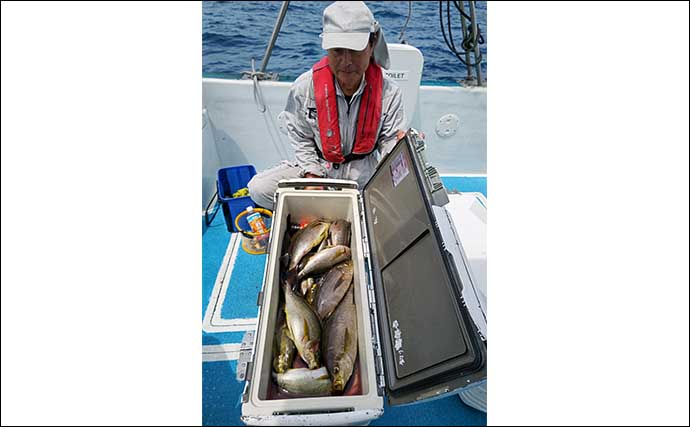 【船のエサ釣り最新釣果】イカを泳がせて10kgの高級魚アラ（クエ）をGET！