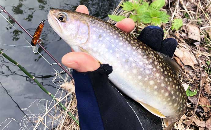 晩春の里川でのルアー釣りで69cmアメマスに44cm大イワナと対面【北海道】