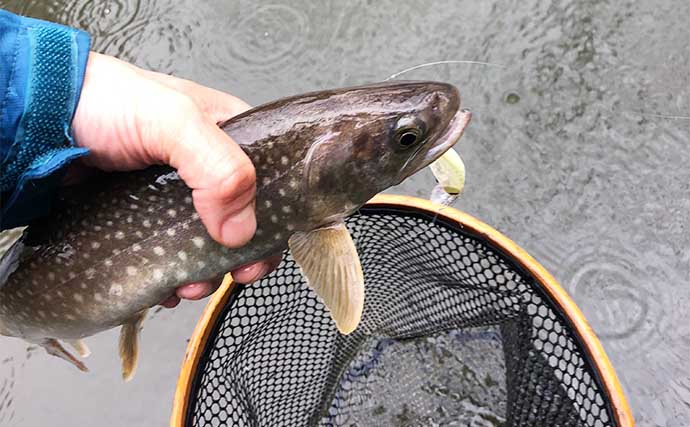 晩春の里川でのルアー釣りで69cmアメマスに44cm大イワナと対面【北海道】