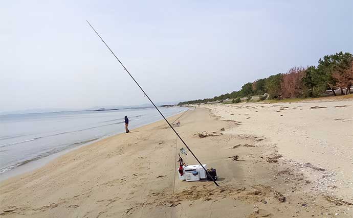 香良洲海岸での投げキス釣りで16cm頭に10匹【三重】シーズン開幕間近か