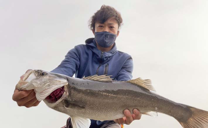 河口域でのルアーシーバス釣行で60cm本命【三重】至近距離でのヒットに