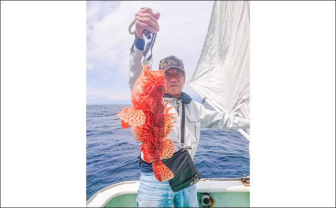 中深海釣りでオニカサゴ5匹にアヤメカサゴ7匹をキャッチ【三重・大宏丸】