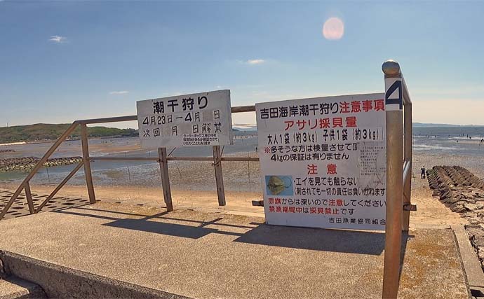 吉田海岸での潮干狩りで大型アサリにハマグリを大量ゲット！【愛知】