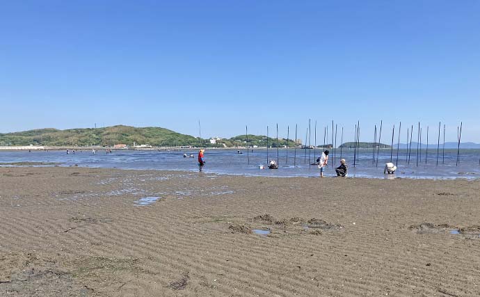 吉田海岸での潮干狩りで大型アサリにハマグリを大量ゲット！【愛知】