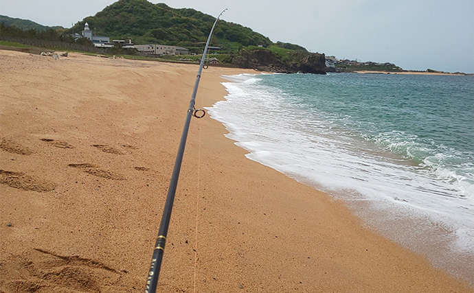 エギングロッド流用ちょい投げ釣りでシロギス55匹【京都】20cm超えもゲット