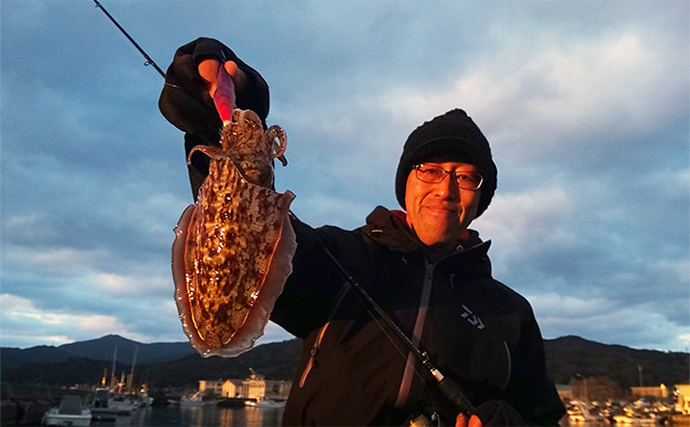 日本海コウイカシーズン開幕【京都】短時間のエギング釣行で本命を4ハイキャッチに成功