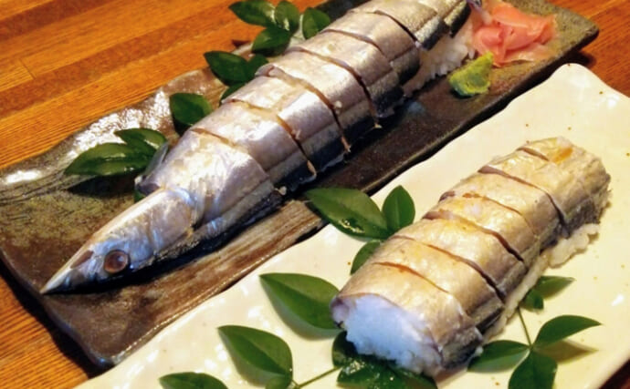和歌山の寿司に「酢」が不要なワケ　ポイントは高温多湿の気候にあった？