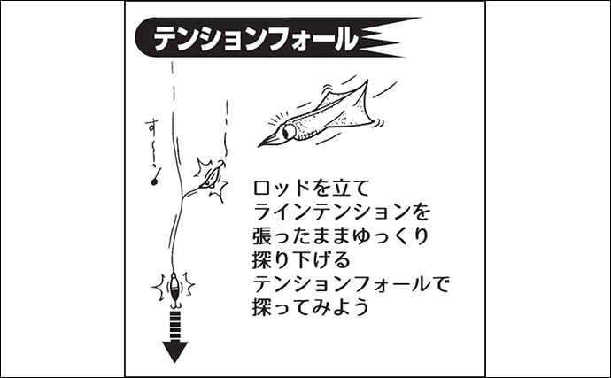 【最新イカメタル攻略法】仕掛け＆釣り方・オモリグ&メタルティップラン使い分けを解説