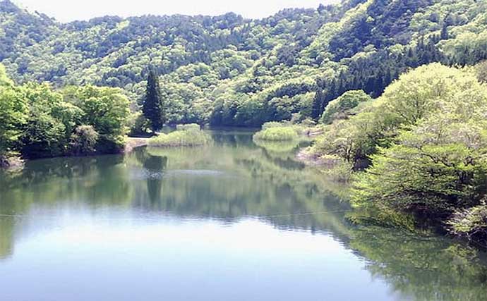 東古屋湖でのボートフライフィッシングで62cm筆頭にニジマス16尾を快釣【栃木】