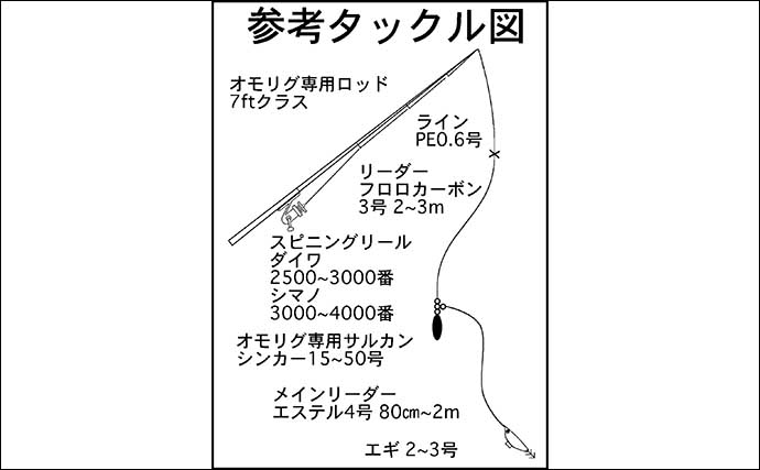 【最新イカメタル攻略法】仕掛け＆釣り方・オモリグ&メタルティップラン使い分けを解説