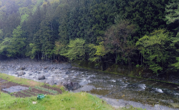 鮎（アユ）友釣りオススメ河川ガイド2024：道志川【山梨】釣り人専用駐車場ある場所も