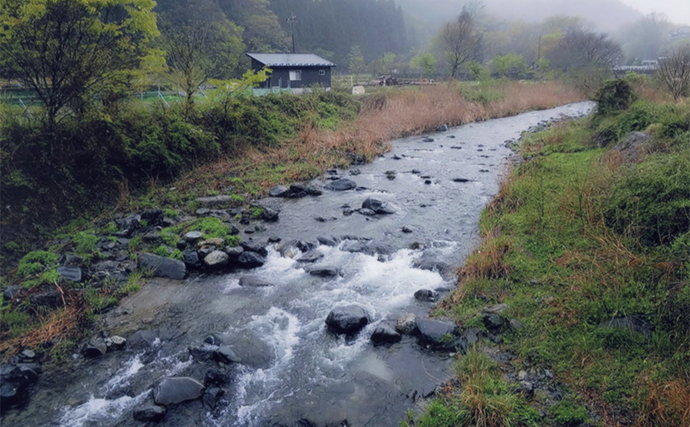 鮎（アユ）友釣りオススメ河川ガイド2024：道志川【山梨】釣り人専用駐車場ある場所も