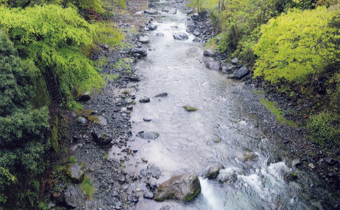 鮎（アユ）友釣りオススメ河川ガイド2024：道志川【山梨】釣り人専用駐車場ある場所も