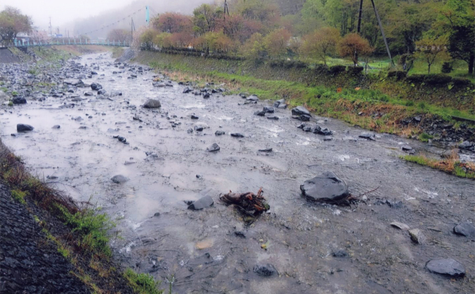 鮎（アユ）友釣りオススメ河川ガイド2024：道志川【山梨】釣り人専用駐車場ある場所も