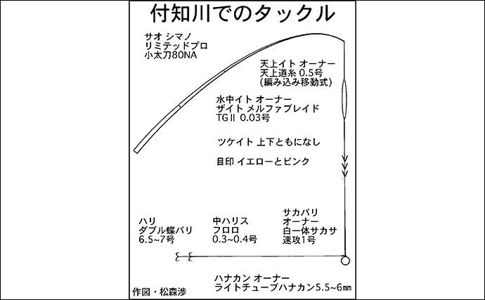 鮎（アユ）友釣りオススメ河川ガイド2024：中津川【岐阜】初期から数釣りが楽しめる