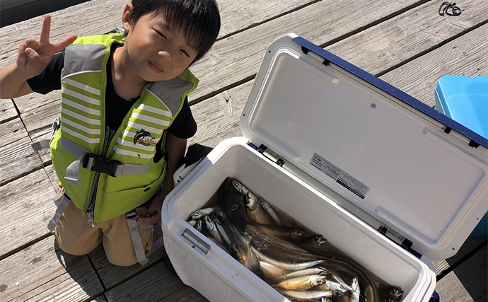 【カカリ釣り釣果速報】イカダからのエギングでアオリイカ好ヒット中（三重）