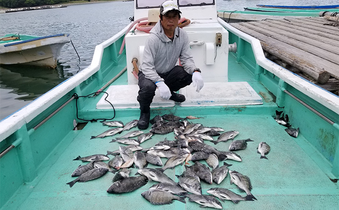 【カカリ釣り釣果速報】イカダからのエギングでアオリイカ好ヒット中（三重）