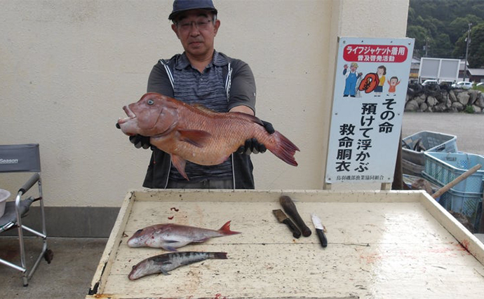 【カカリ釣り釣果速報】イカダからのエギングでアオリイカ好ヒット中（三重）