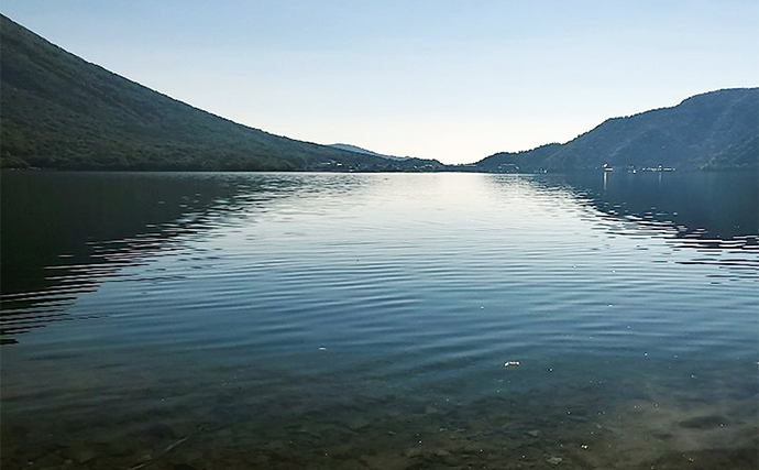 中禅寺湖でのボートフライフィシングで66.5cmレイクトラウトと対面【栃木】