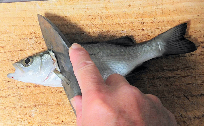 釣魚で作る「ビールのつまみ」レシピ：セイゴの青じそ揚げ　打ち粉で脂はね防止