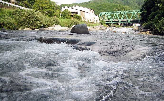 鮎（アユ）友釣りオススメ河川ガイド2024：白川【岐阜】100％放流河川で型に定評