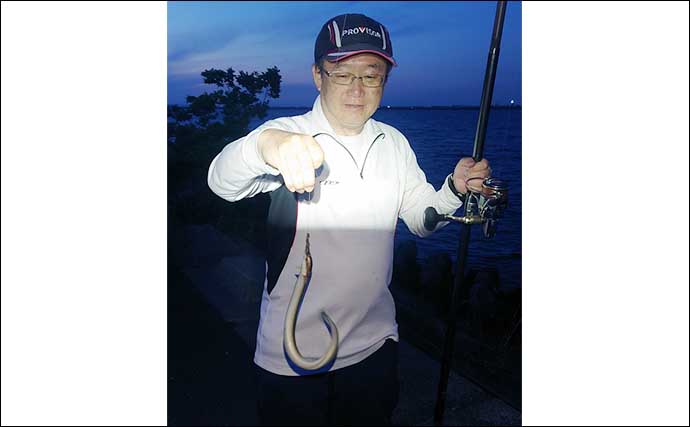 木曽三川下流でのウナギ釣りでシーズン初物手中【三重】アケミ貝とミミズエサにヒット