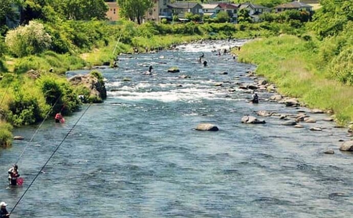 鮎（アユ）友釣りオススメ河川ガイド2024：静岡県【狩野川】トモ釣り発祥の地