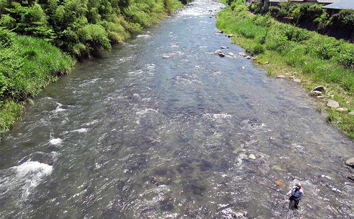 鮎（アユ）友釣りオススメ河川ガイド2024：静岡県【狩野川】トモ釣り発祥の地