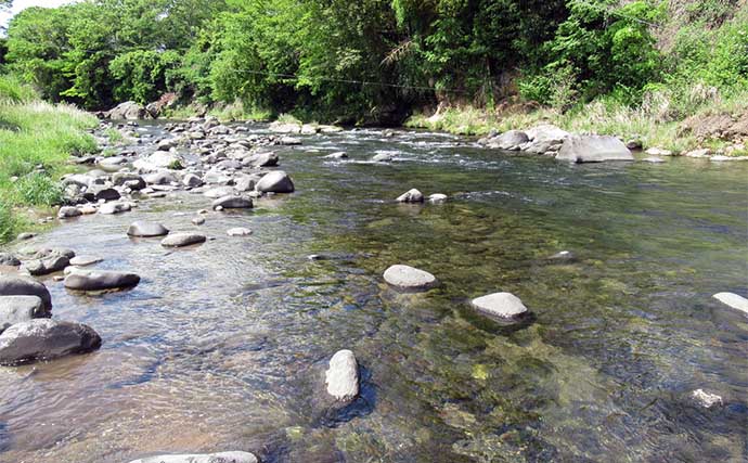 鮎（アユ）友釣りオススメ河川ガイド2024：静岡県【狩野川】トモ釣り発祥の地