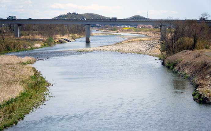 鮎（アユ）友釣りオススメ河川ガイド2024：渡良瀬川【栃木県】天然遡上は遅れ気味か