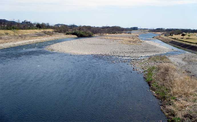 鮎（アユ）友釣りオススメ河川ガイド2024：渡良瀬川【栃木県】天然遡上は遅れ気味か