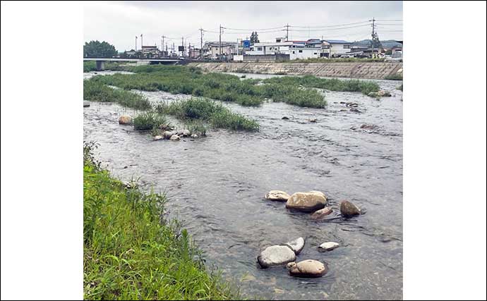 鮎（アユ）友釣りオススメ河川ガイド2024：黒川【栃木】アクセス良好の穴場